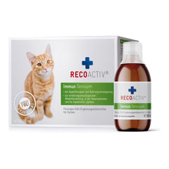 Recovet Recoactiv® Immun Tonicum für Katzen, Flasche mit Kreuzsymbol, grün-weiße Verpackung, Medaille, weißer Hintergrund.